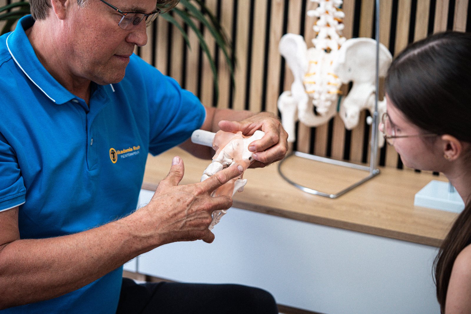 Omówienie ruchomości stawu z wykorzystaniem modelu anatomicznego